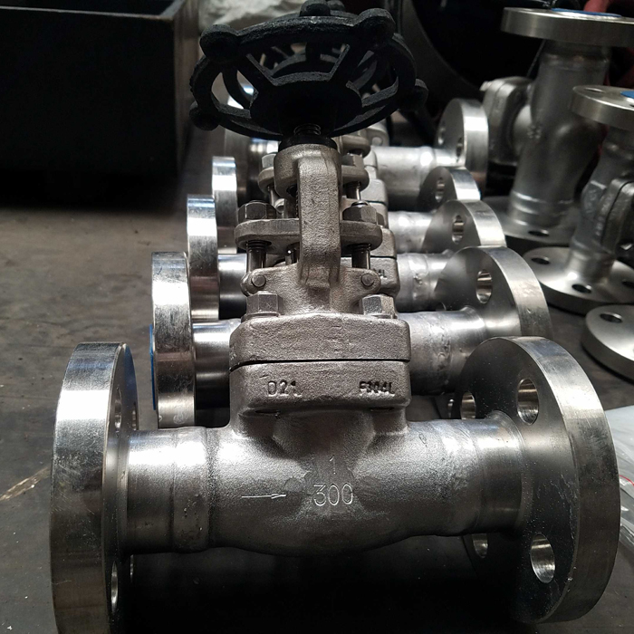 Válvula de compuerta de acero forjado API602 F304L doble brida 1 pulgada del fabricante chino