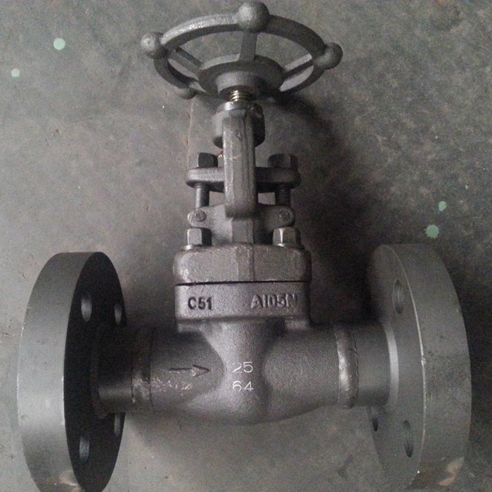 válvula compuerta ascendente tipo de alta temperatura  25 mm del fabricante chino