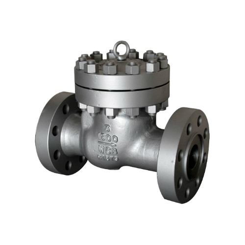 Swing Check Valve