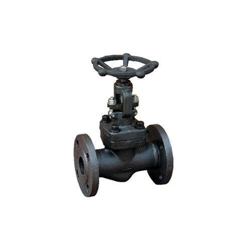 Forged steel globe valve