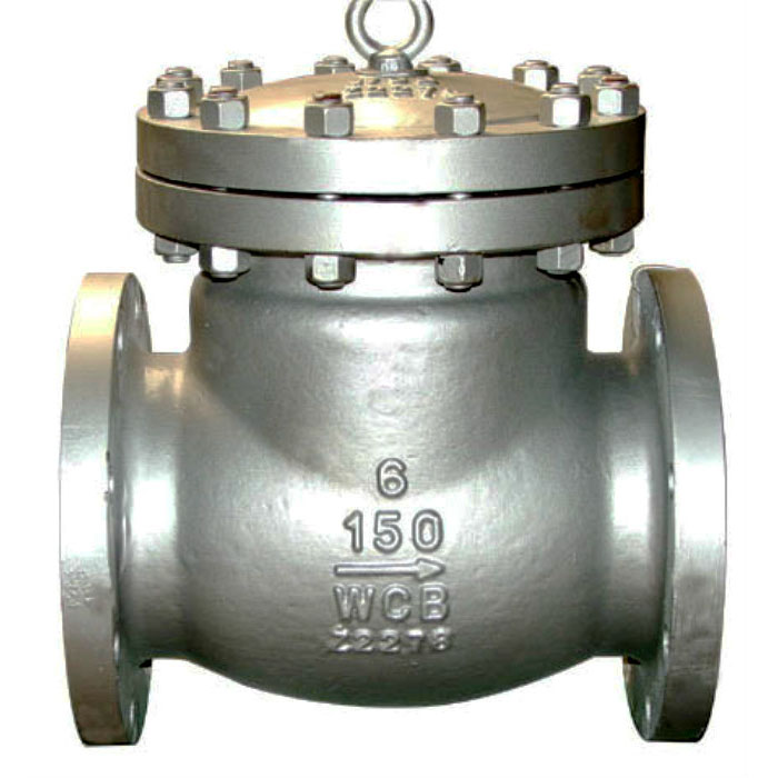 How to choose correct model of check valve for your project?