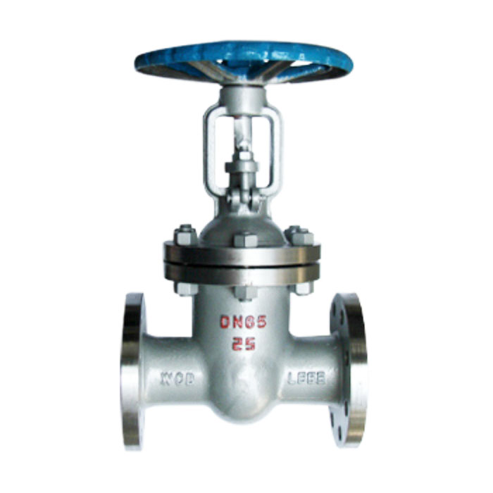 Site Construction of industrial gate valves