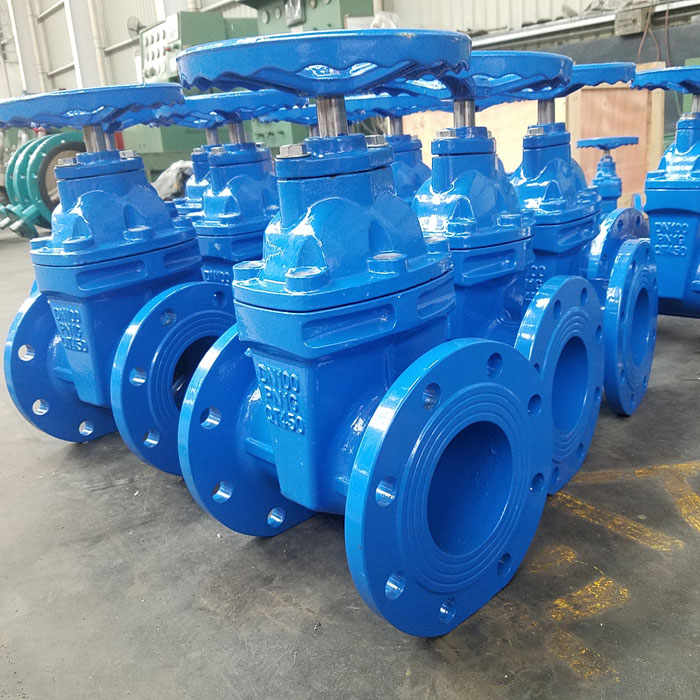 Water gate valves non rising stem rubber seated ductile iron from China factory