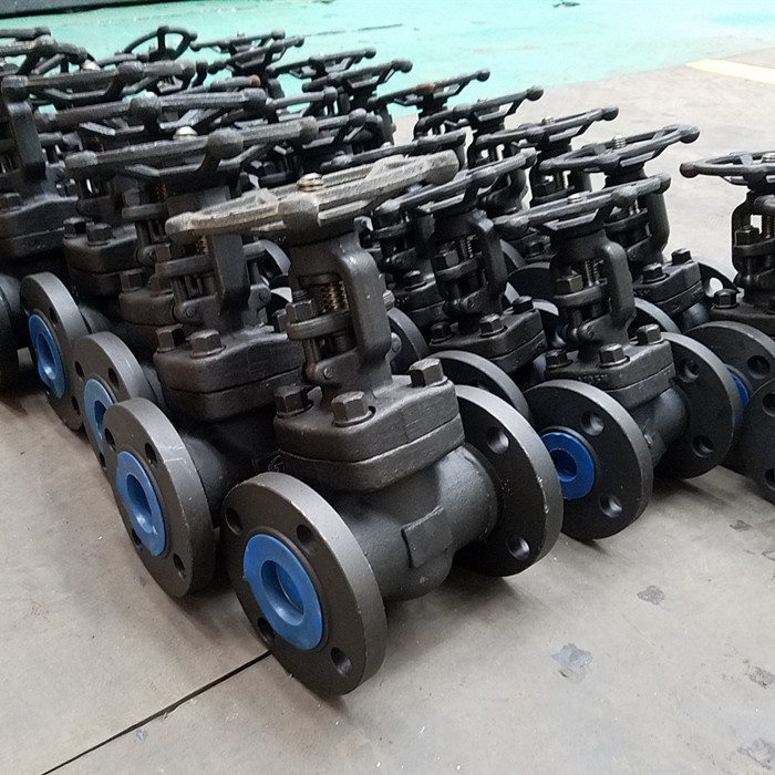 Manual forged gate valve CS bolted bonnet seat HF flanged 1 inch from Chinese factory