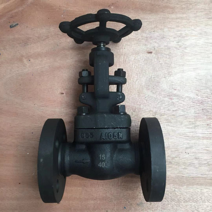 Renewable seat stop valve manual drive forged A105N flanged raised face from China company