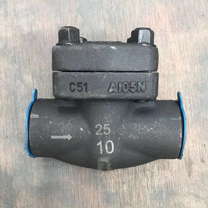 A105N forged Check valve DN25 socket weld for petrol application from Chinese factory