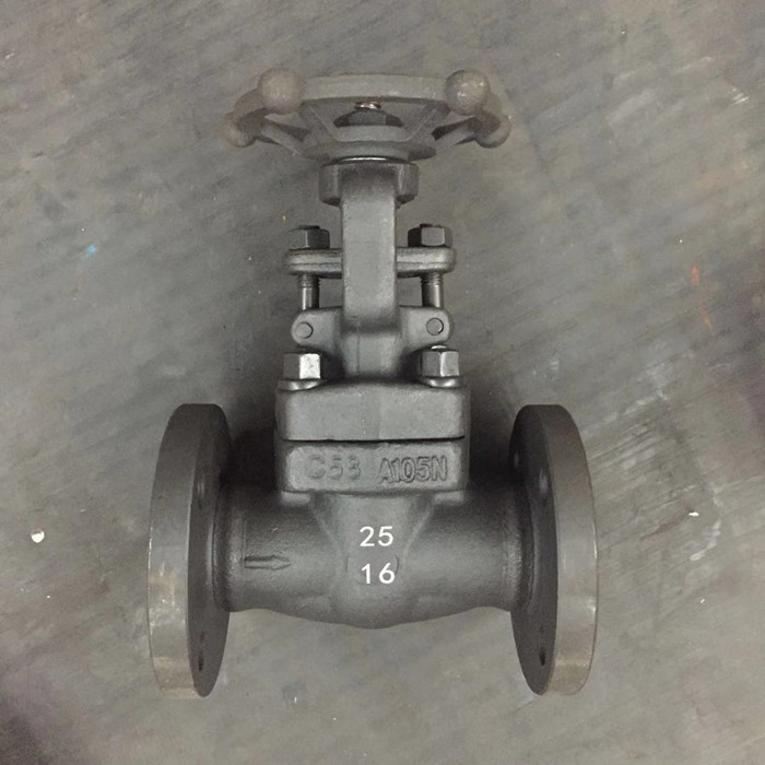 Forged steel tight shut off gate valve flange ends hand operated from Chinese manufacturer