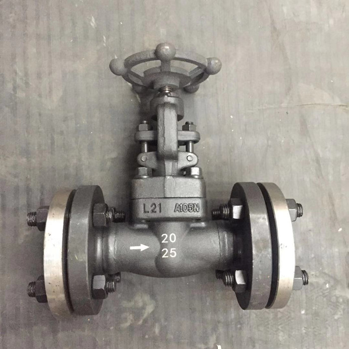 Gate valve on off PN25 for oil and gas with counter flange from Chinese vendor