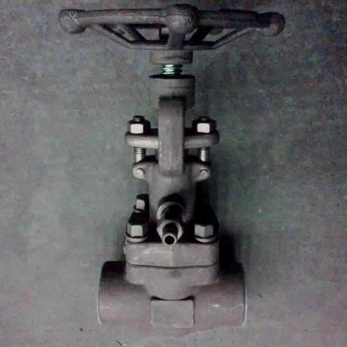 Gate valve forged steel with packing injection PN40 NPT end for oil from Chinese supplier