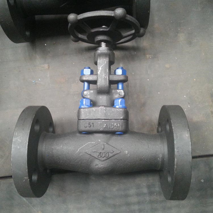 High pressure gate valve hand operated 600lb from Chinese manufacturer