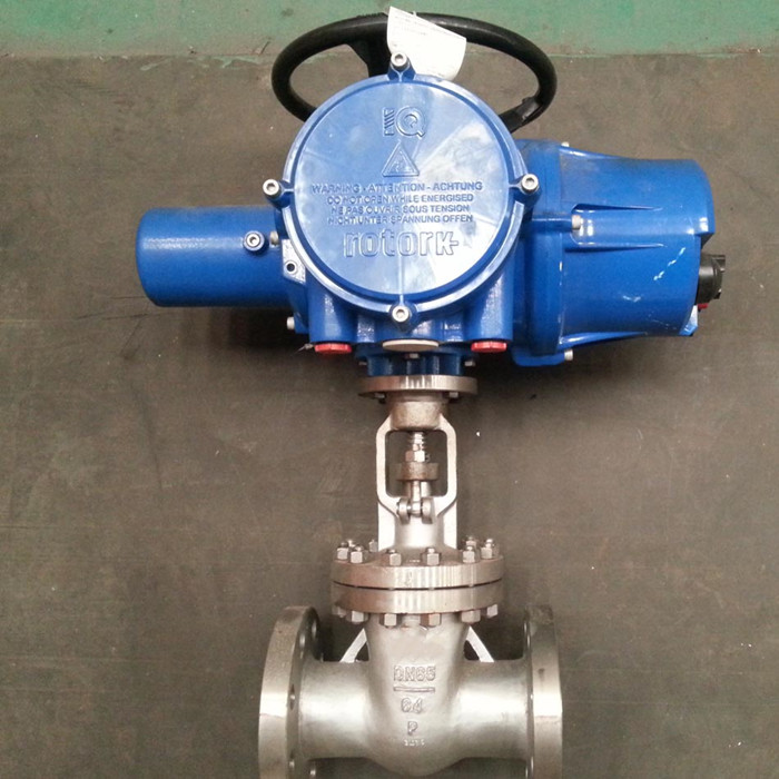 Stainless steel flanged rising gate valves electric actuated from Chinese supplier