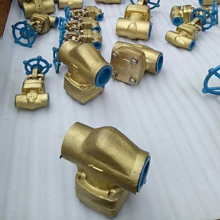 Aluminum bronze check valves, C95800，small diameter, manufacturer, price